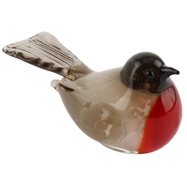 Glass Robin