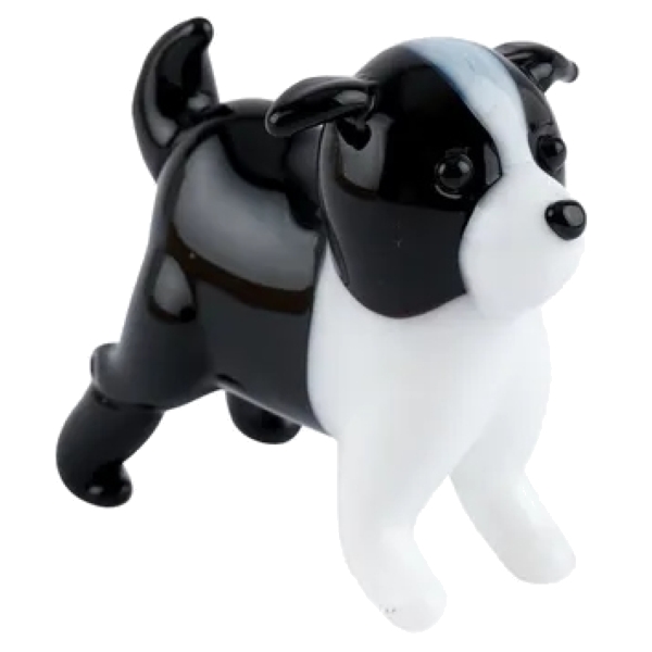 Glass Border Collie